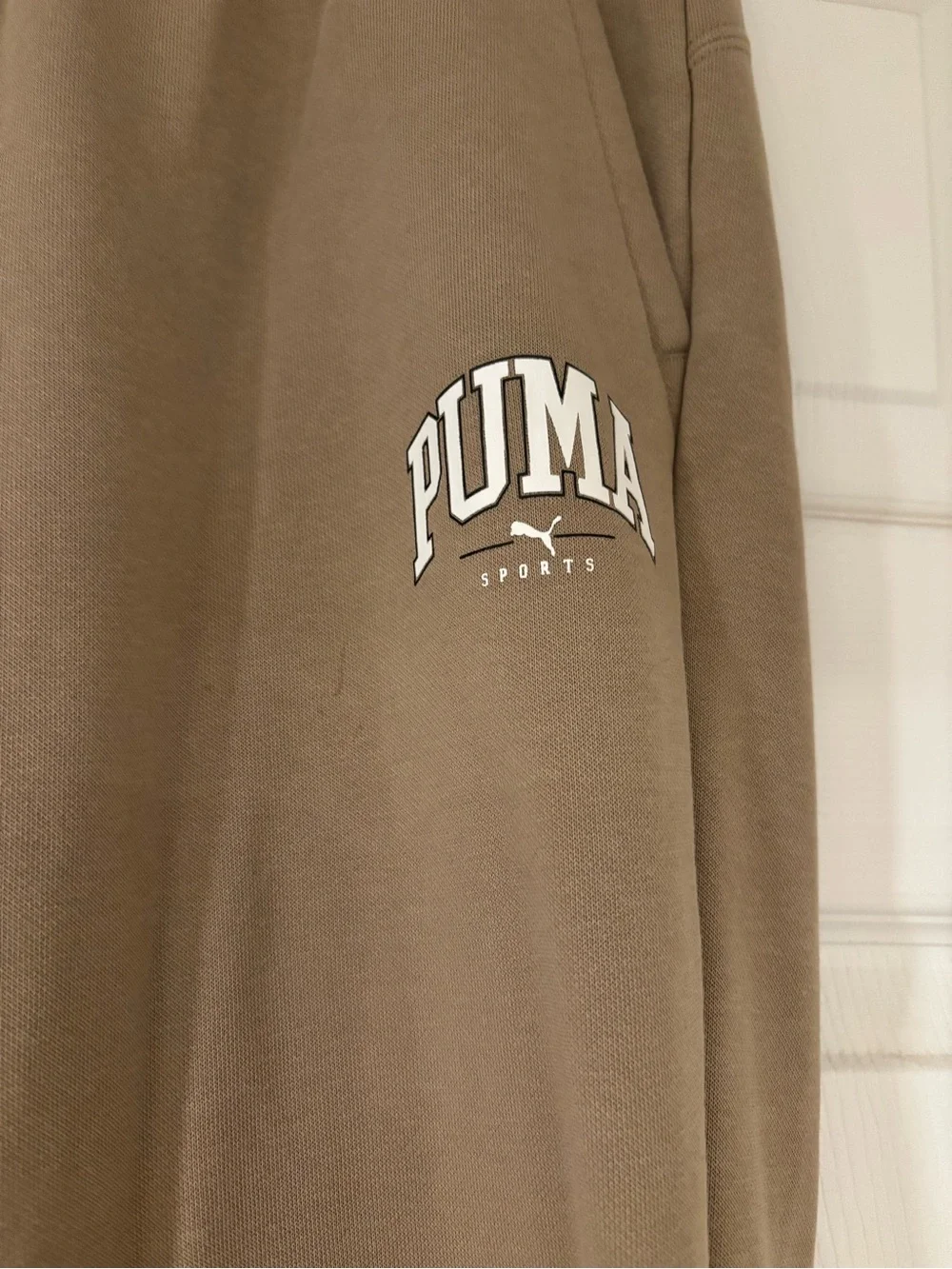 PUMA Boys Hooded Sweatshirt - Cozy Pullover Hoodie